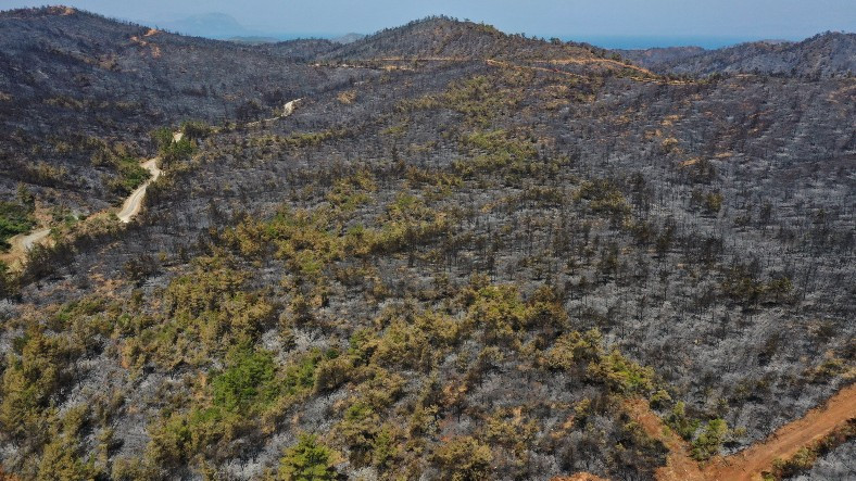 SON DAKİKA: Tarım ve Orman Bakanı, Marmaristeki Yangının Kontrol Altına Alındığını Duyurdu