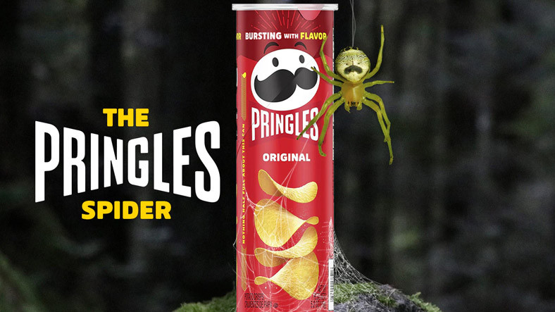 Pringles, Logosuna Benzeyen Örümceği Pringles Örümceği Yapmak İçin Harekete Geçti (Isırınca Cipse Dönüşür müyüz?)