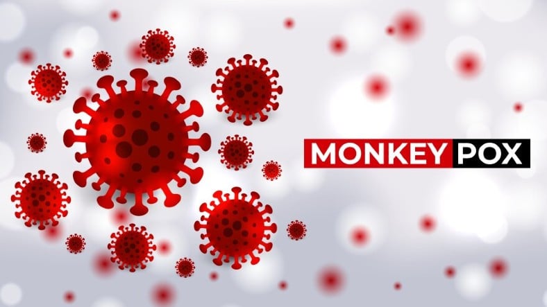 Dünya Sağlık Örgütünden Korkutan Açıklama: Maymun Çiçeği Vakaları Artmaya Devam Ediyor!