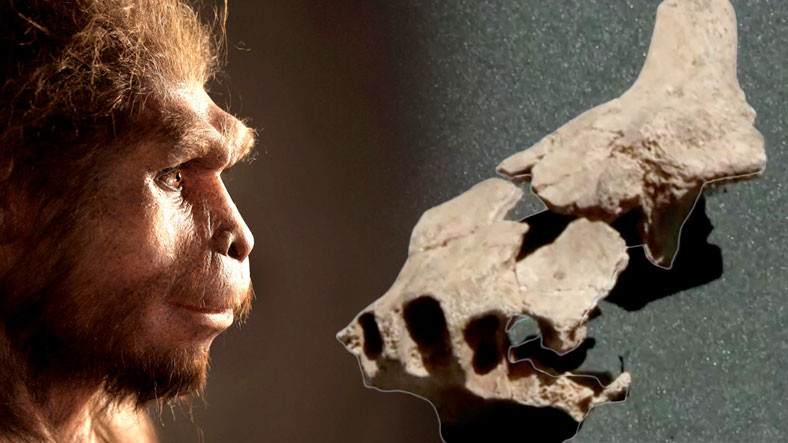 1 Milyon 400 Bin Yıl Önce Yaşamış Bir İnsana Ait Çene Kemiği Bulundu: Avrupa’nın En Eski İnsan Fosili ile Tanışın!
