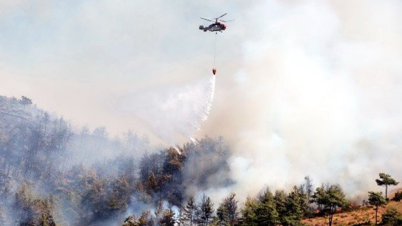 Bodrumda Ormanlık Alanda Yangın: Müdahaleler Devam Ediyor