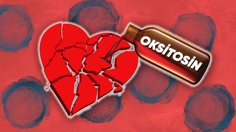 ask hormonu oksitosin kalp rahatsizligi tedavisi 1664627639