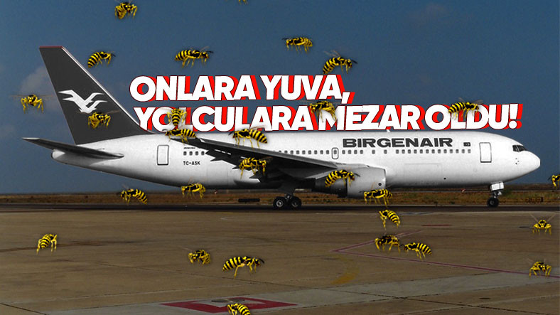 “Arılar”dan Dolayı Okyanusa Düşen Türk Yolcu Uçağı