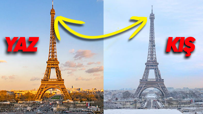How does the Eiffel Tower get taller in the summer?  (The reason is not vitamin D)