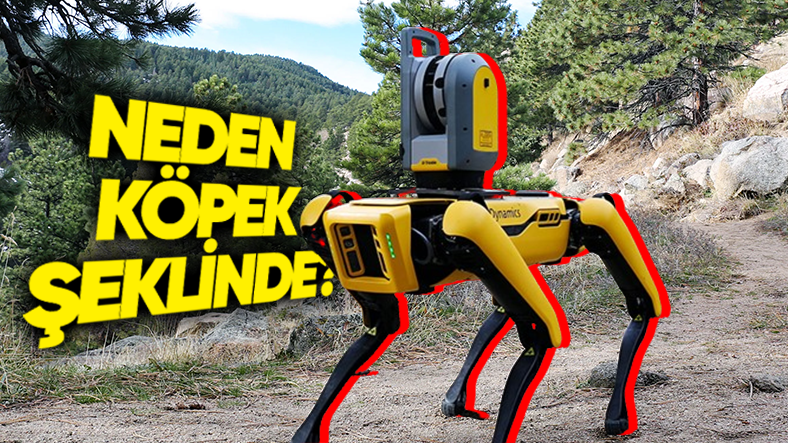 Robotları Neden Hayvan Şeklinde Tasarlıyoruz?