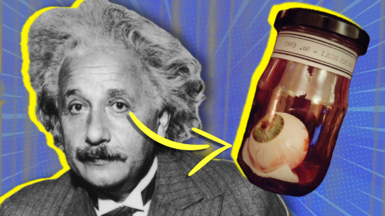 Einstein’ın Gözleri Neden Bedeninden Başka Bir Yerde?