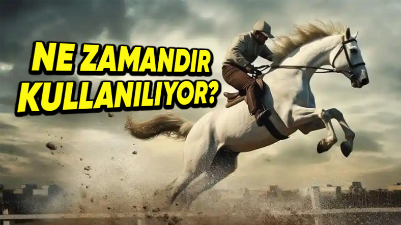 Atlar Ulaşımda Ne Zaman Kullanılmaya Başlandı?