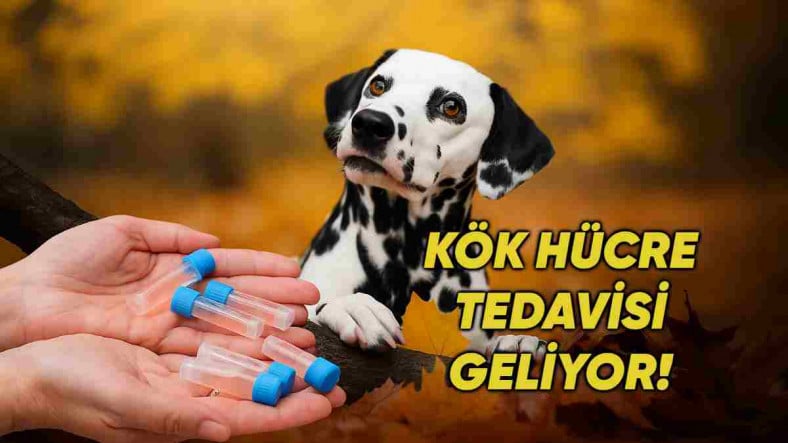 Son Dakika Haber Görseli