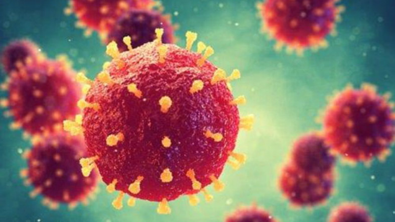 İnsan Sağlığı İçin Faydalı olan 7 Virüs