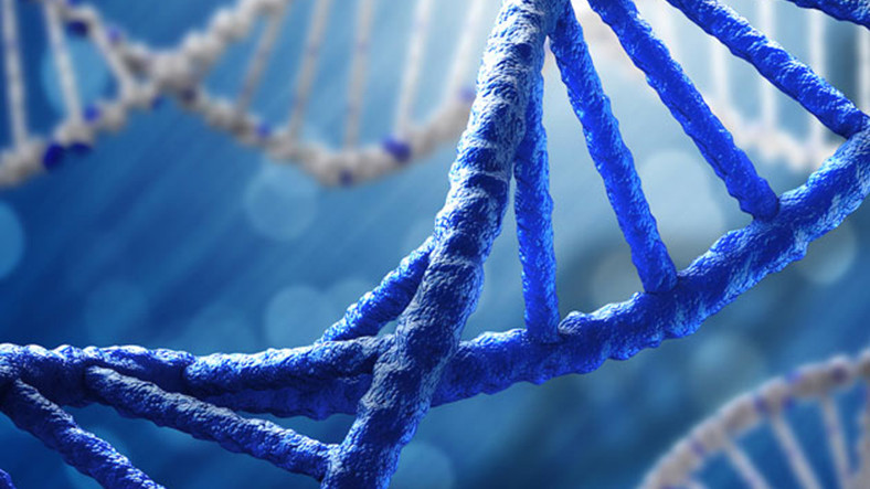 Bilim İnsanları DNA'ya 4 Yeni Sentetik Baz Ekleyerek 8 Bazlı