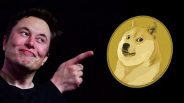 Elon Musk'ın 'Oyuncağı' Olan Kripto Para: Dogecoin Nedir, Nasıl Alınır?