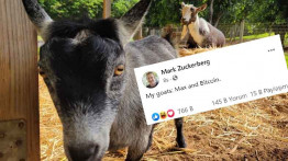 Mark Zuckerberg, Keçilerinden Bir Tanesinin İsminin 'Bitcoin' Olduğunu Açıkladı