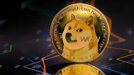 Kripto Para Devinden Heyecanlandıran 'Dogecoin' Açıklaması: İnternetin Para Birimi Olabilir