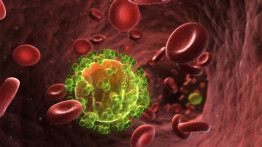 Tarihi Başarı: Bir Kişi Daha Tedavi ile HIV'den Kalıcı Olarak Kurtuldu