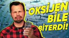 Dünya'daki Tüm Okyanus, Deniz ve Göller İçme Suyuna Dönüşseydi Nolurdu? Emin Olun, Hiç İstemezdiniz!