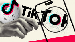 TikTok, Google'a Rakip Olmayı Kafaya Koymuş: Artık Sadece Video Değil, Wikipedia Sonuçları da Gösterecek!