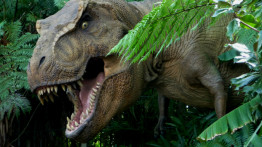 Dinozorlar Hakkında Doğru Bilinen Yanlışlar ve Büyük Avcı T-rex'in Zekası
