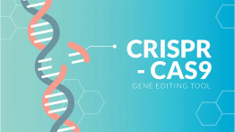 Bilim İnsanları, CRISPR Sayesinde Farelerde Rahim Ağzı Kanserini Tedavi Etti