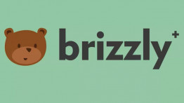 Tweetlerinizi Düzenleyebileceğiniz Özelleştirilmiş Twitter Arayüzü: Brizzly