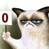 sadcat