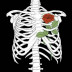 ozkansude33_