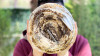 ACIMADIK #11: Galaxy S10'u Binlerce Kibritten Yaptığımız Rulo Pastanın İçine Yerleştirdik!